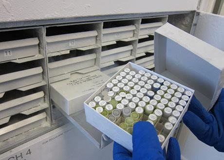 ERA Portal Austria – EC seeks feedback on industrial biotechnology and ...