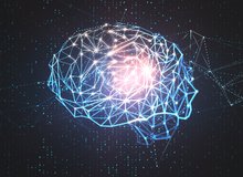 Brain 460.jpg