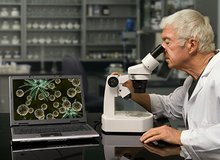 Forscher Mikroskop am Tisch.jpg